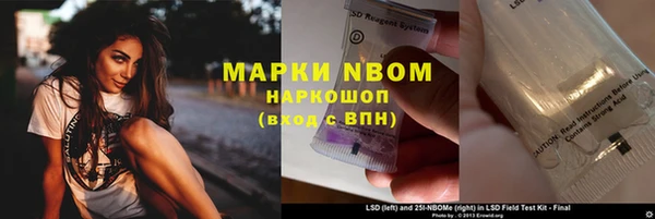 шишки Алексин