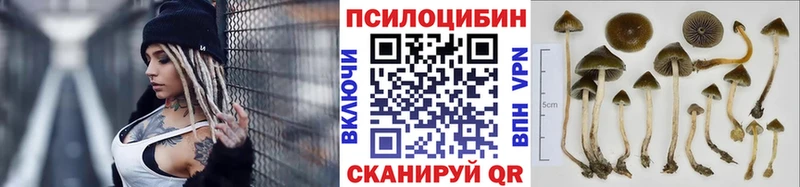 цены   Майкоп  Галлюциногенные грибы GOLDEN TEACHER 